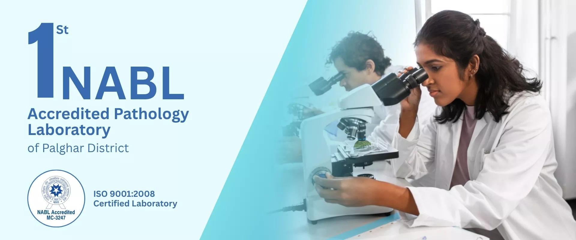 banner-cardinal-68ff74079453c